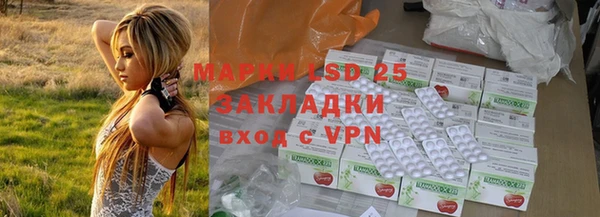 прущие грибы Алексеевка