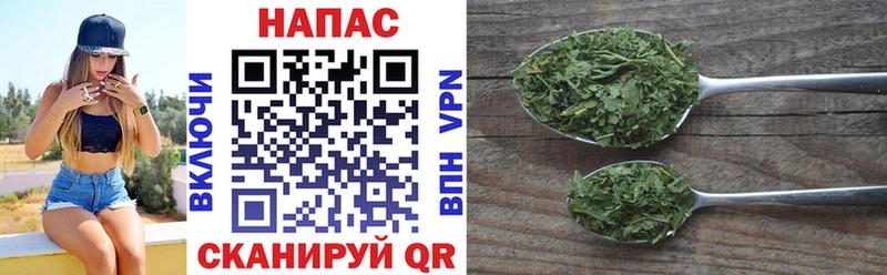 Каннабис SATIVA & INDICA  Жиздра 